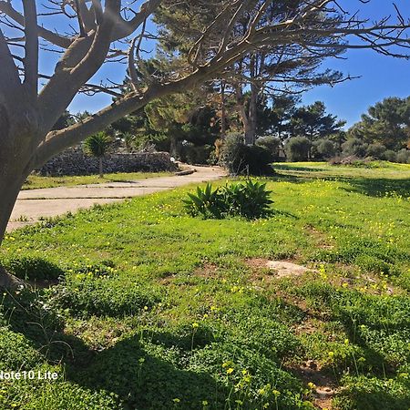 Sogni nel blu Favignana Villa Eksteriør billede