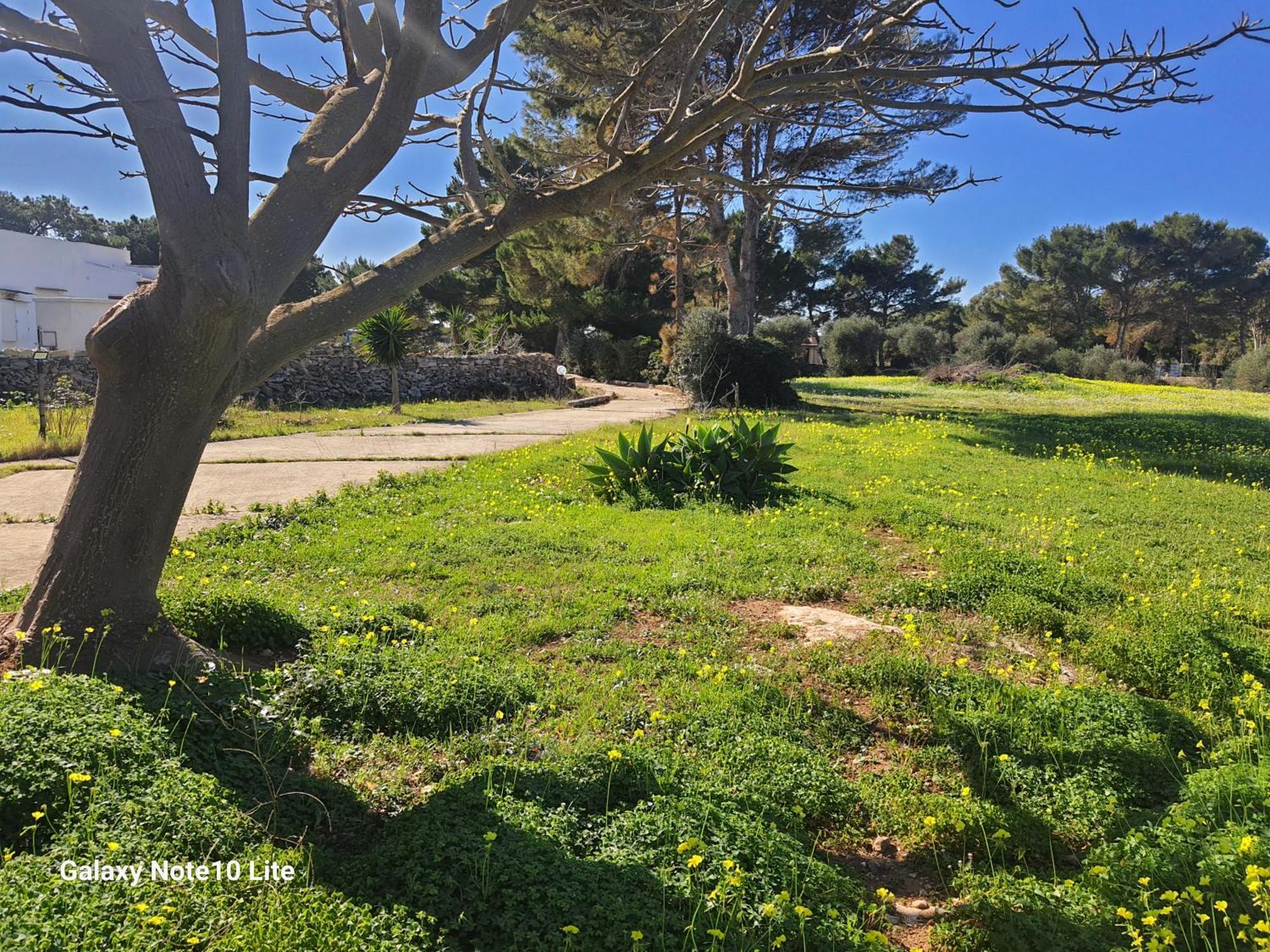 Sogni nel blu Favignana Villa Eksteriør billede