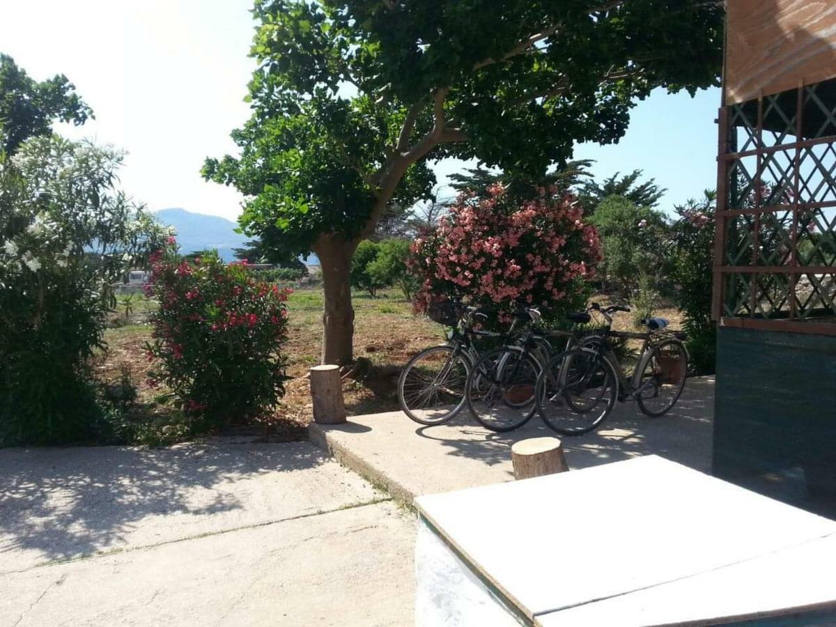 Sogni nel blu Favignana Villa Eksteriør billede